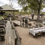 Elephant Pan's deck overlooks a popular pan frequented by elephants and other animals, 