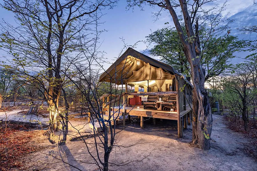 elephant-pan-botswana-guest-tent