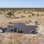 Aerial view of the year-round waterhole with the sunken hide.