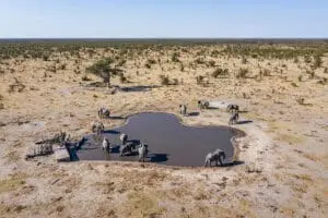 Aerial view of the year-round waterhole with the sunken hide.