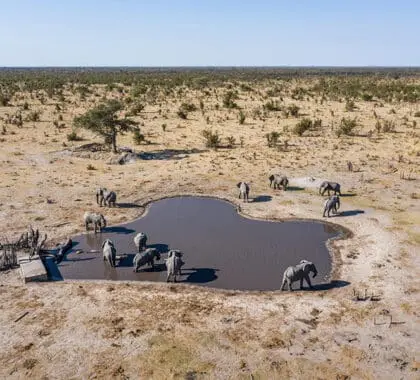 Vista aérea de la charca abierta todo el año con el escondite hundido.