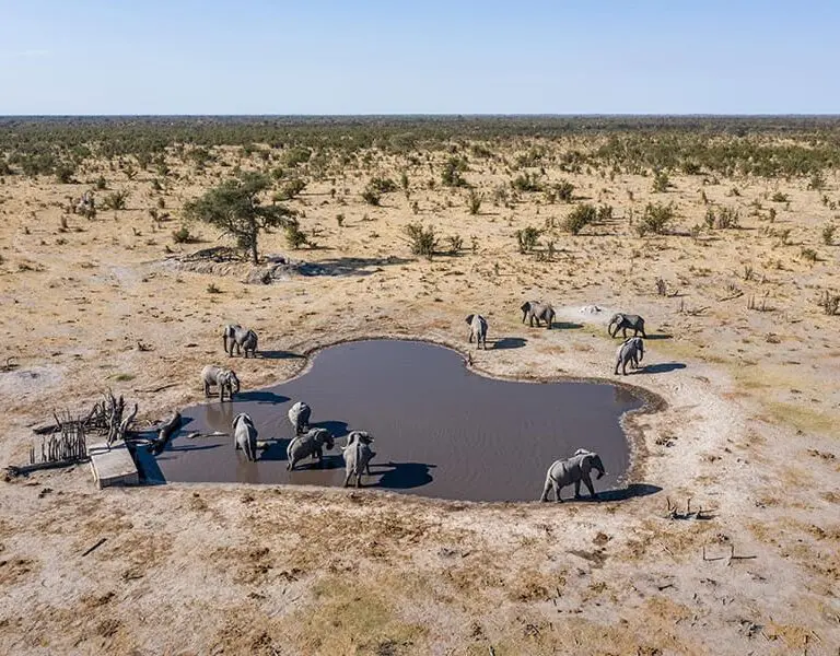 Aerial view of the year-round waterhole with the sunken hide.