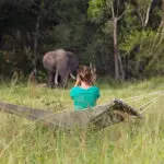 Guests at this traditional, unfenced safari camp enjoy great game viewing from virtually any location!
