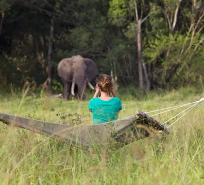 Los huéspedes de este campamento de safari tradicional sin vallar disfrutan de magníficos avistamientos de animales desde prácticamente cualquier lugar.