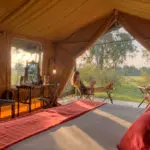 Elephant Pepper's tents enjoy panoramic views of the Mara plains from their shaded verandah.