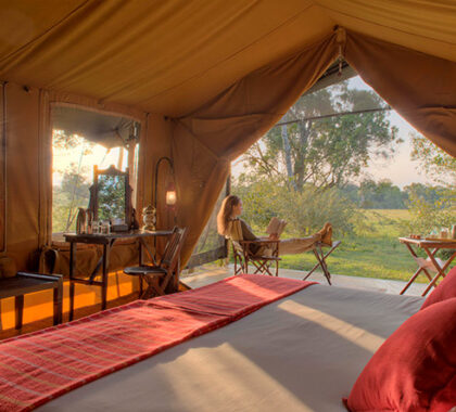 Elephant Pepper's tents enjoy panoramic views of the Mara plains from their shaded verandah.