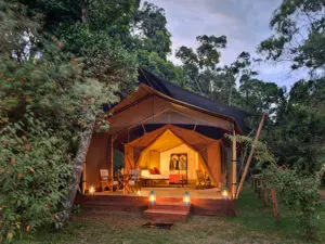 Each of the camp's eight tented suites provides a serene haven at the end of a busy Masai Mara day.