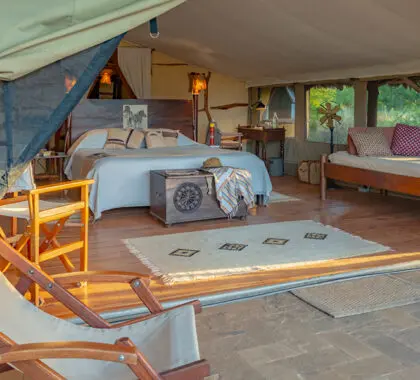 The tents are spacious and comfortable, with their own private decks.