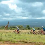 A biking safari. 