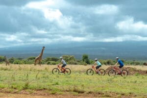 A biking safari. 