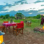 A bush dinner next to the fire and under the stars. 