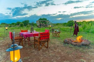 A bush dinner next to the fire and under the stars. 