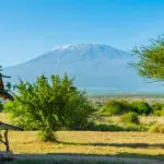 Amboseli National Park has some of the best views of Mount Kilimanjaro.