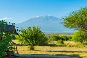 Amboseli National Park has some of the best views of Mount Kilimanjaro.