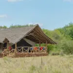 The tents at Elerai are set on raised wooden bases with a balcony and thathed roof over canvas for incredible natural temperature control. 