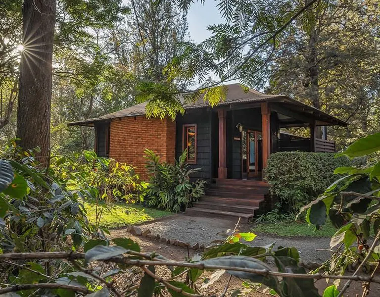 Accommodation dotted around the lush grounds.