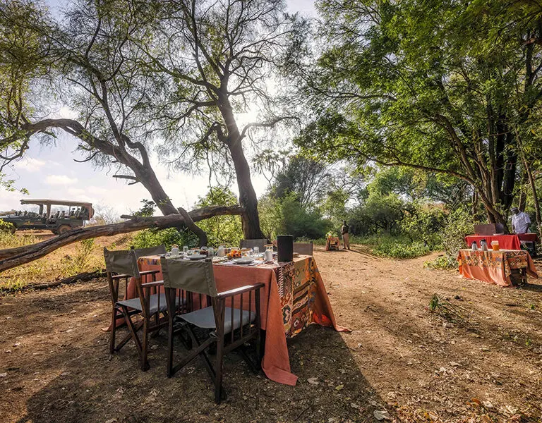 Un delicioso desayuno en la sabana.