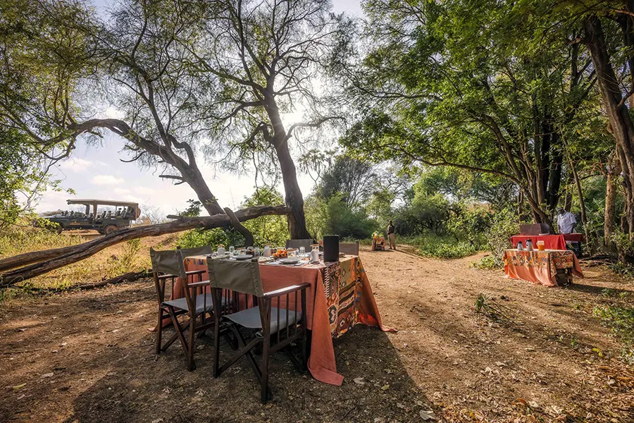 Un delicioso desayuno en la sabana.