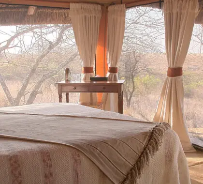 elewana-lewa-safari-camp-banner