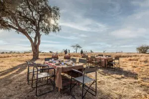 A bush lunch is a unique  safari experience. 