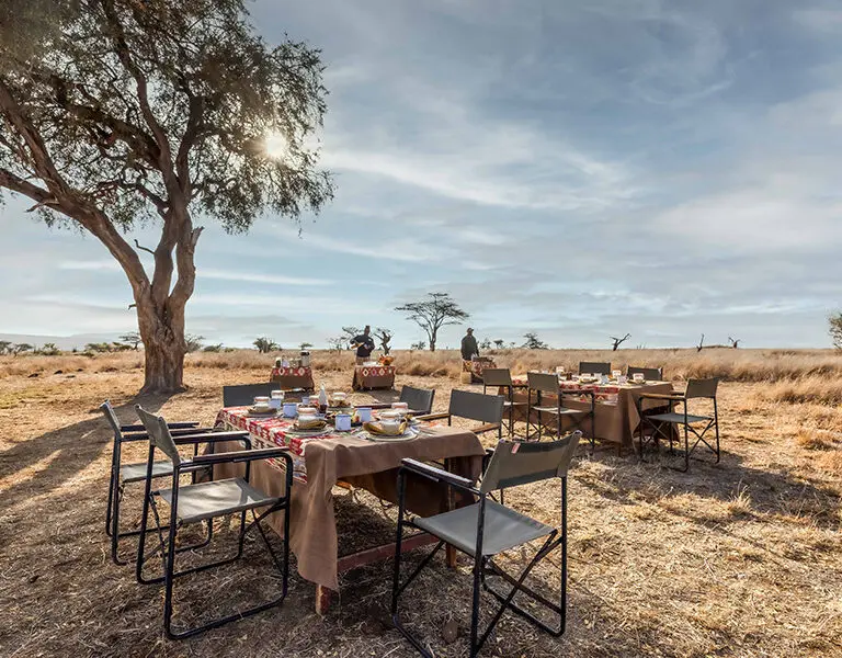 A bush lunch is a unique  safari experience. 