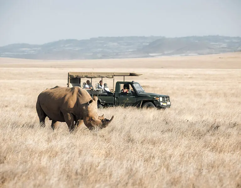 Game drives. 
