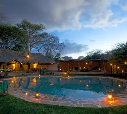 When the sun set into the savannah and the night kicks in you can experience a beautiful starry sky.
