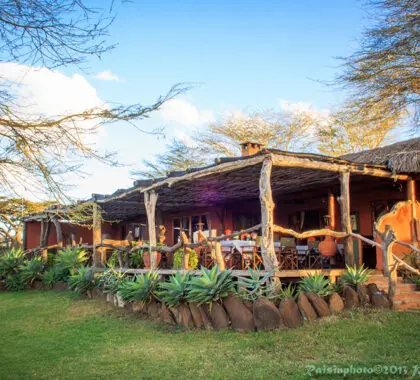 Lewa Safari Camp, perfectly positioned in the African bush. 