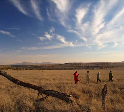 Get to know and learn about Maasai culture.
