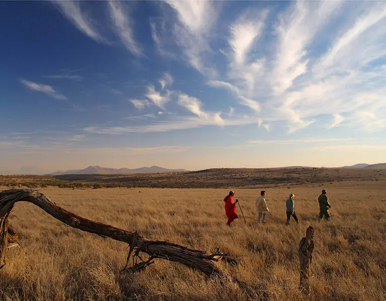 Get to know and learn about Maasai culture.
