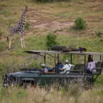 Your wilderness experience is of course accompanied by 4x4 game drives in search of big game.
