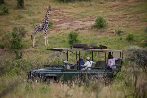 Your wilderness experience is of course accompanied by 4x4 game drives in search of big game.
