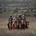 Horse riding.