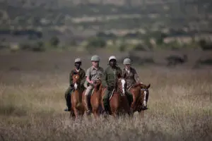 Horse riding.