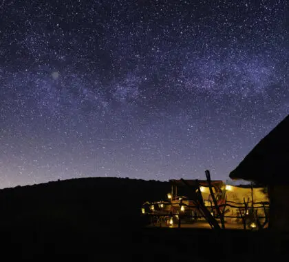 elewana-loisaba-star-beds_8-banner