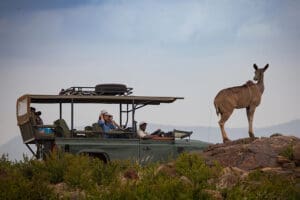 Exciting game drives.