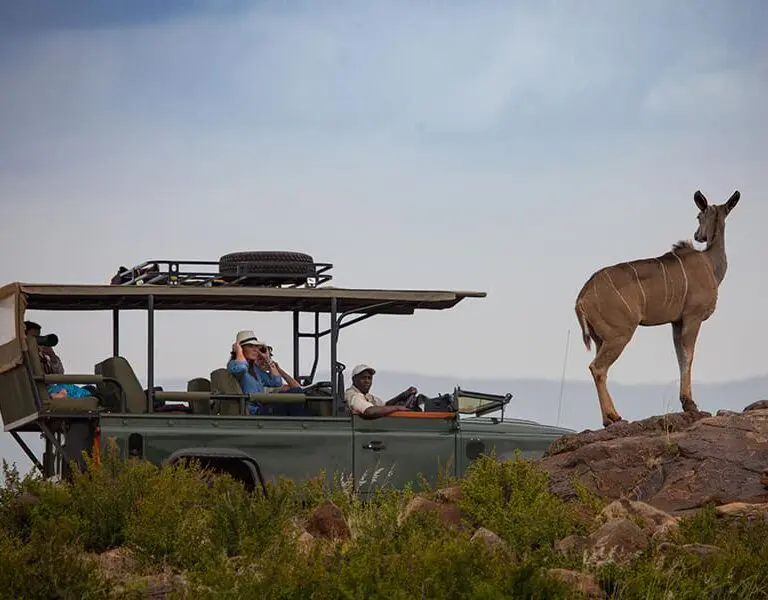 Exciting game drives.