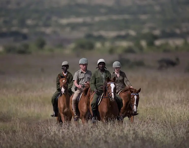 Explore Laikipia and its basalt hills on horseback.