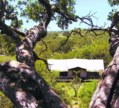 elewana-serengeti-migration-camp_2