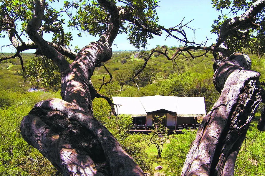 campamento de migración elewana-serengeti_2