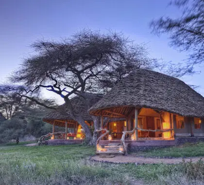 Luxury safari accommodation. 