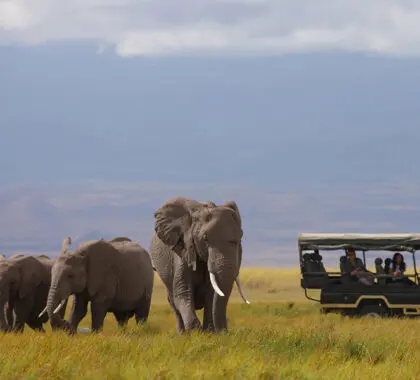 elewana-tortilis-camp-amboseli_2