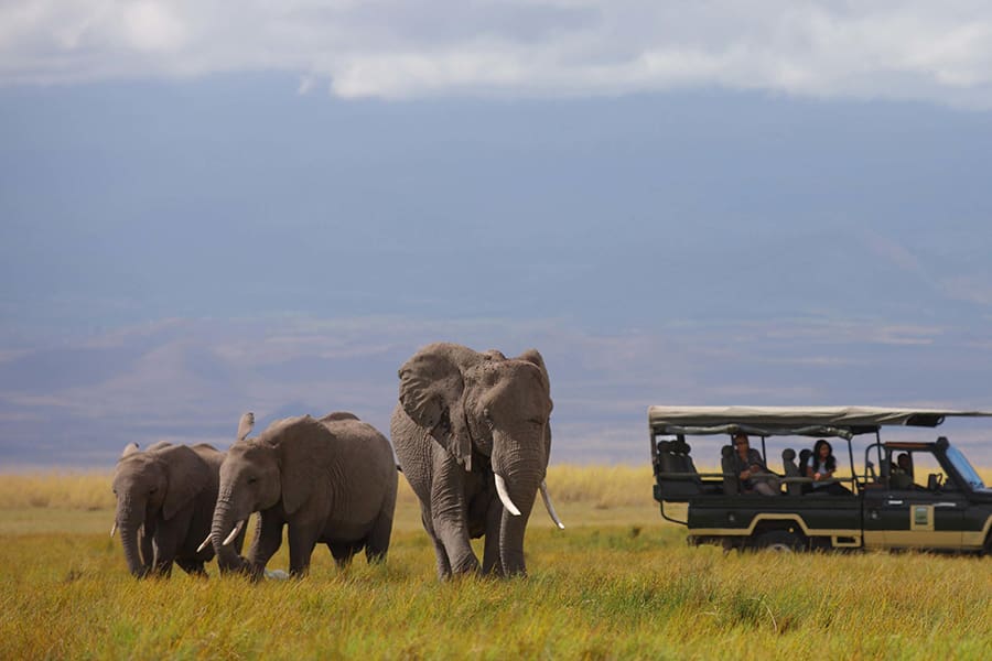 elewana-tortilis-camp-amboseli_2