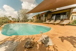 emakoko-private-house_4