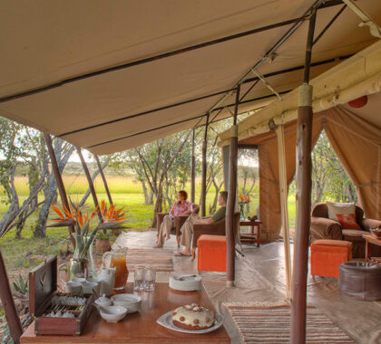 A truly memorable safari away from the crowds.