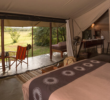 Luxurious and spacious tents.