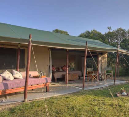 Encounter Mara is a luxury, tented camp.