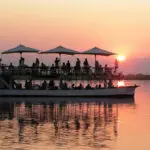 End the day with a Desert & Delta sunset cruise on the Chobe River - pure African magic.