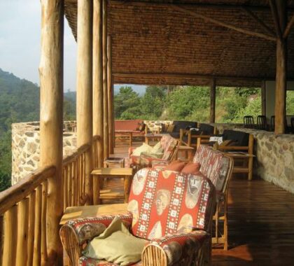 Engagi Lodge bwindi national park
