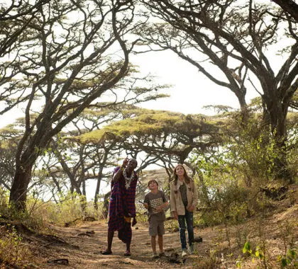 Safari a pie.